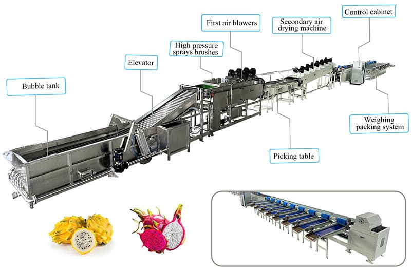 images/1681456311164dragon fruit grader.jpg